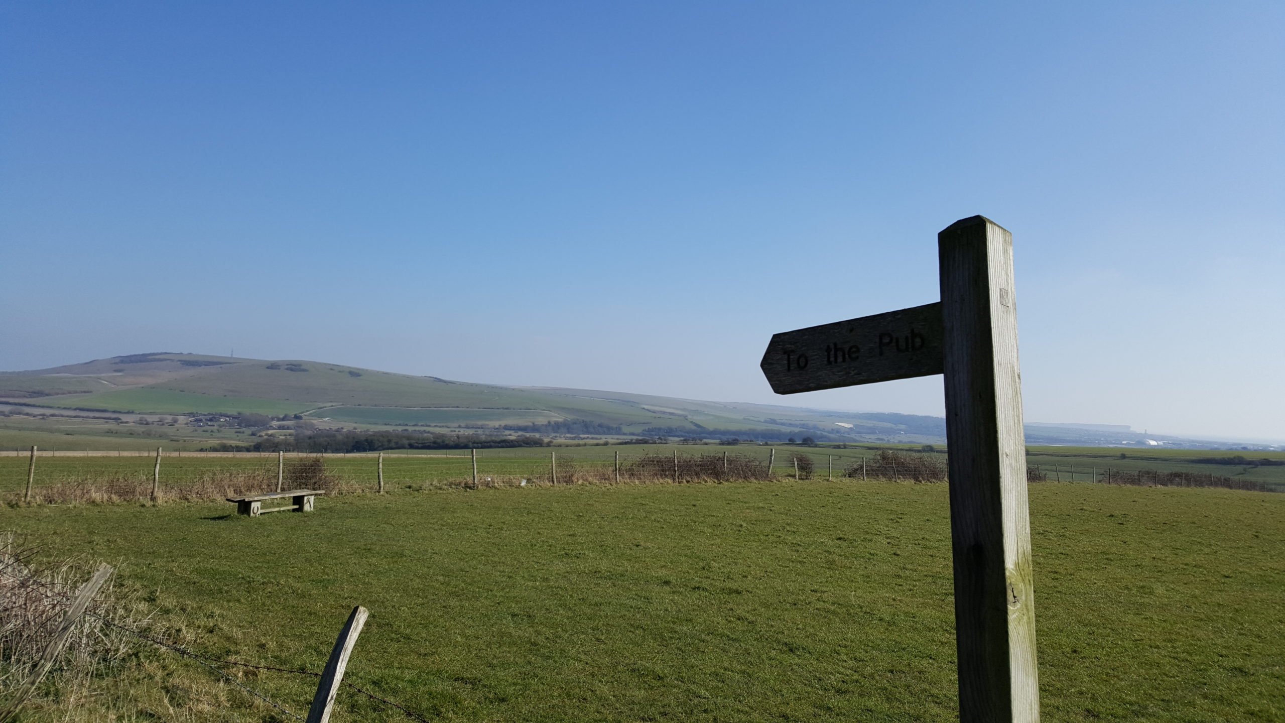 Signpost in a field