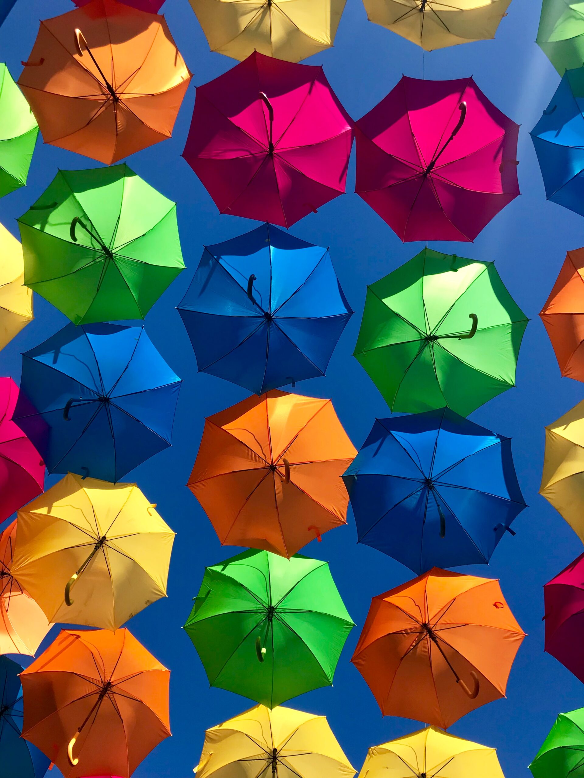 A range of coloured umbrellas opened