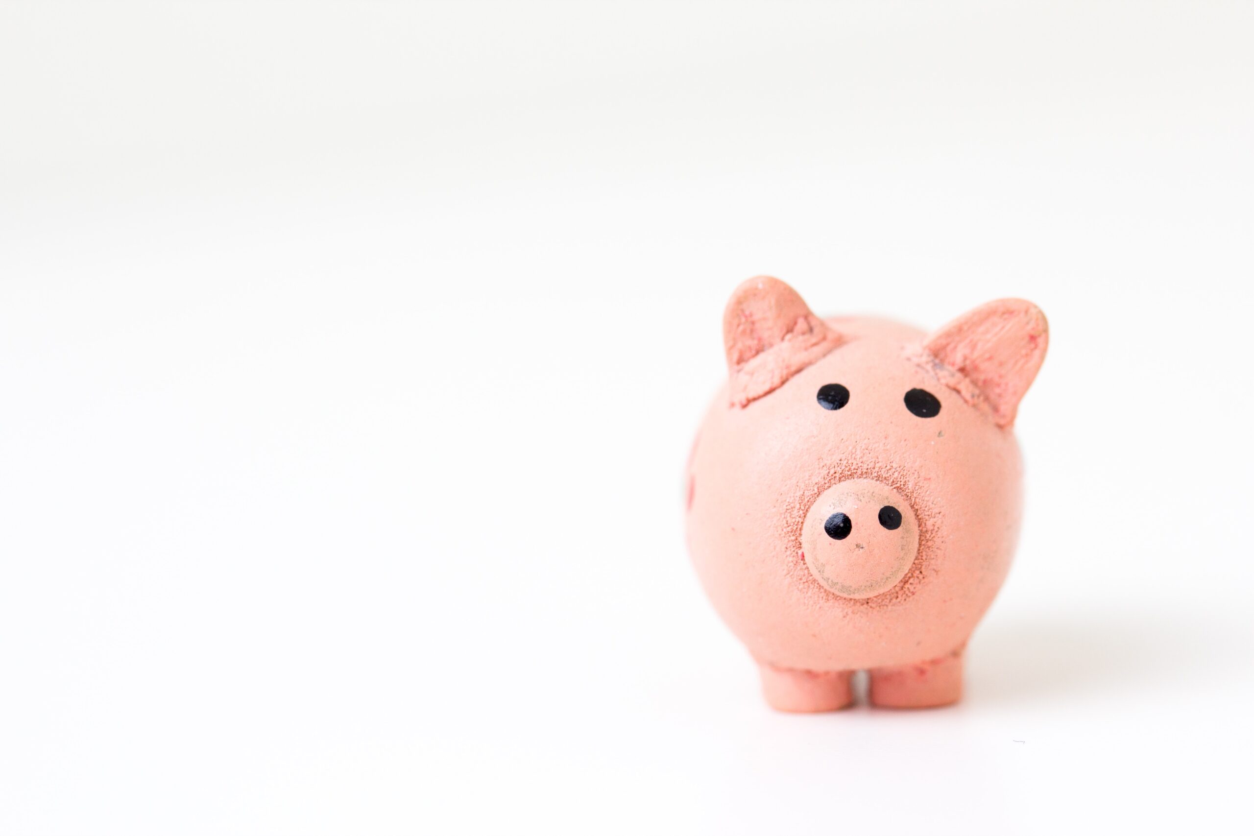 A pink piggybank looking at the camera on a white background