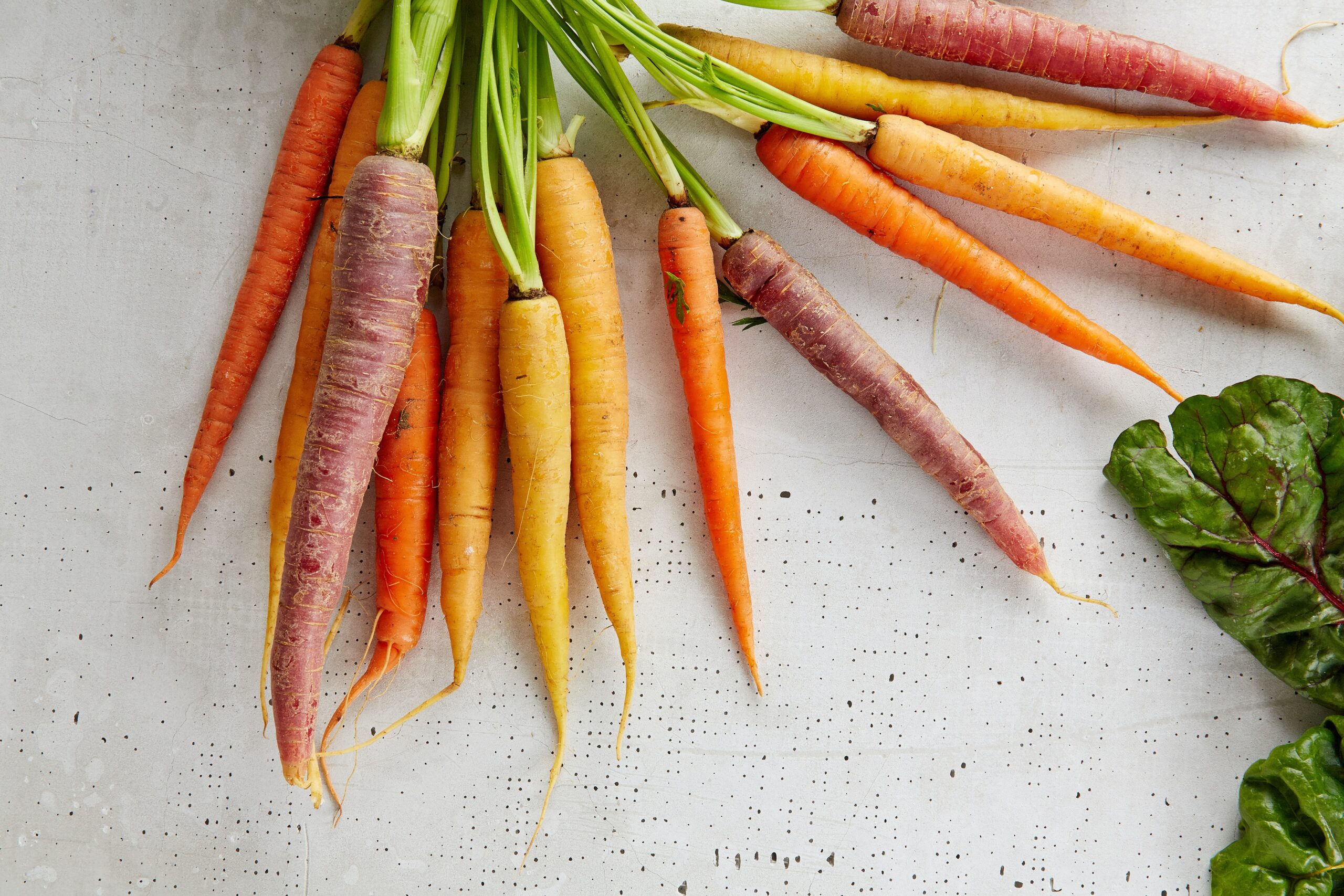 A range of different coloured carrots spread out on a white kitchen top