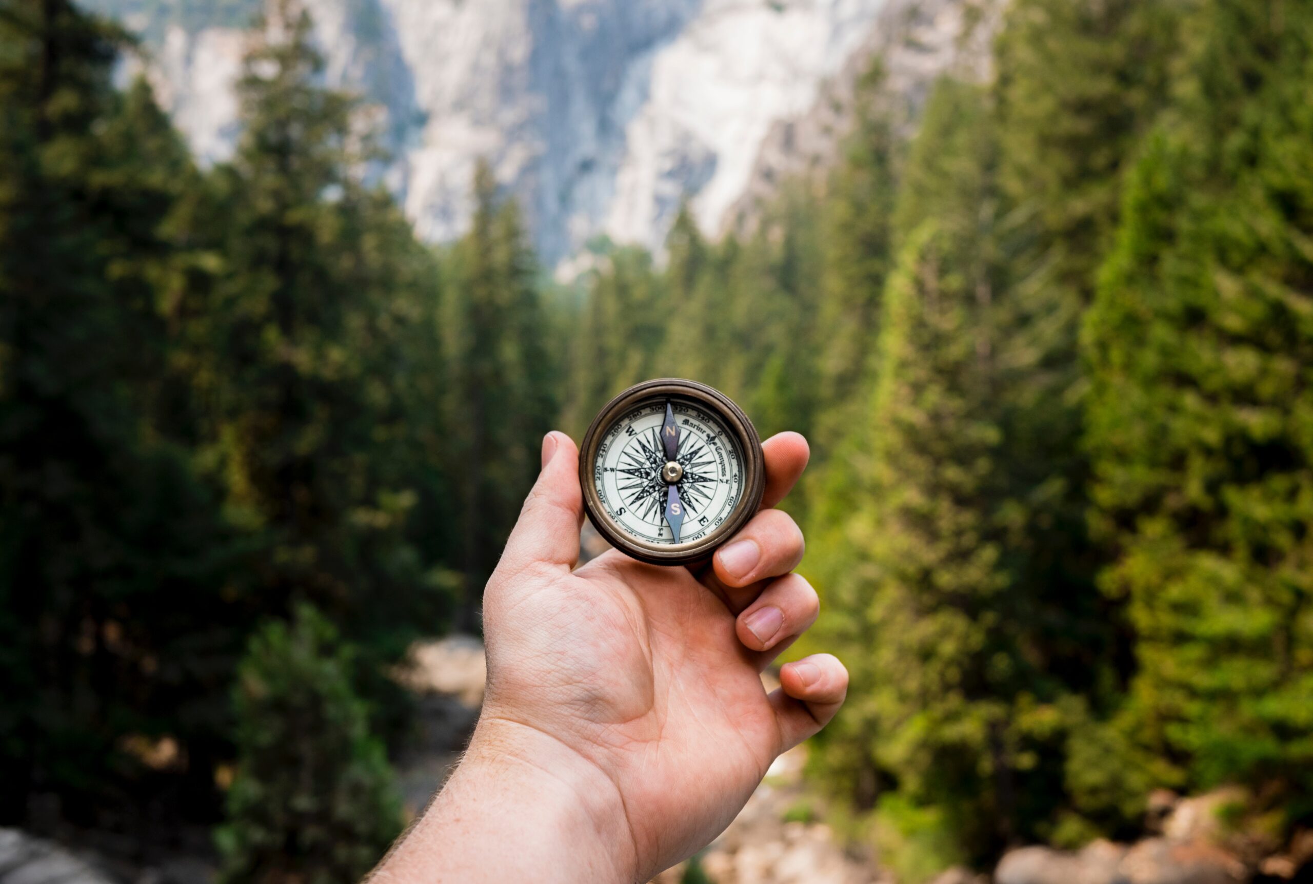 A compass being held up against a background of green trees and a mountain